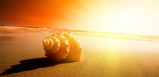 Тепловой и солнечный удар