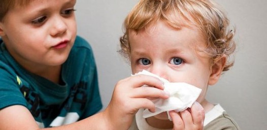 Как правильно сморкаться и шмыгать носом